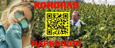 спиды Кандалакша