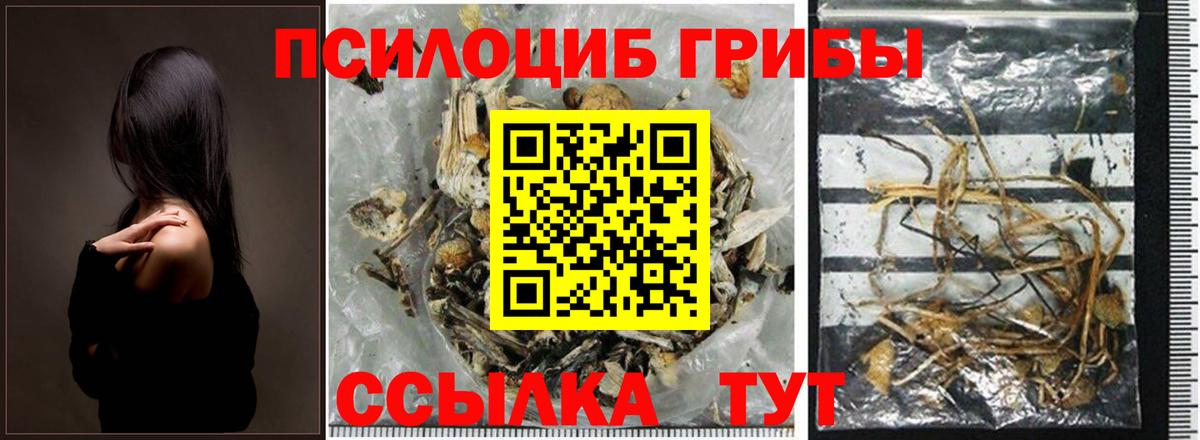 Псилоцибиновые грибы прущие грибы  Галлюциногенные грибы прущие грибы  Вход с VPN  Красноперекопск 